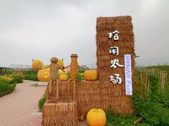 -观澜小洱海