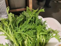 茼蒿-左庭右院鲜牛肉火锅(浦江欢乐颂店)