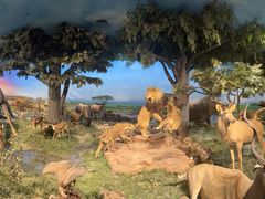 -国家自然博物馆