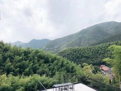 -莫干山风景区