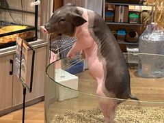 -上海交通大学闵行校区-包玉刚图书馆