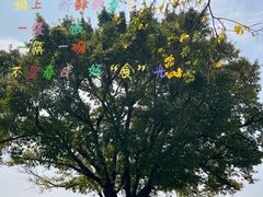 -洲头咀公园