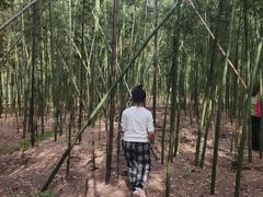 -同里国家湿地公园