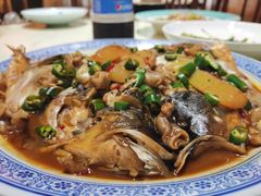 -张鸟园农家乐(张鸟园店)
