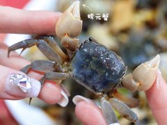 -红灯笼龙凤饭店(宁波老字号店)