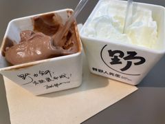 -野人先生现做冰淇淋(北京悠唐购物中心店)