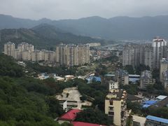 -金鸡山公园
