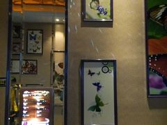 -朱古力纯K量贩式KTV(国庆中路店)