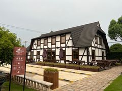 -金山农民画村-枫泾波兰倒置屋
