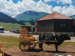 -新疆那拉提国家旅游度假区