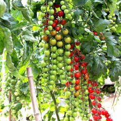 -Oasis Beauty水磨坊科技美肤中心