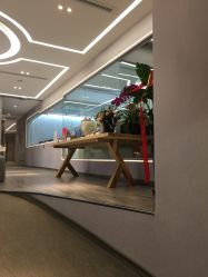 -海豚湾高端月子会所(黄浦店)