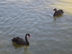 -天津东丽湖风景区