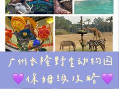 -广州长隆野生动物世界