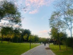 -北坞公园