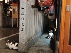 -Hōzen-ji Temple法善寺