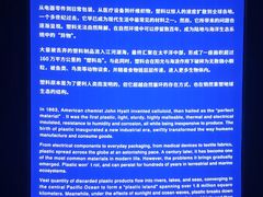 -凤凰中心