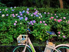 -常州古运河南大街文化旅游区-人民公园