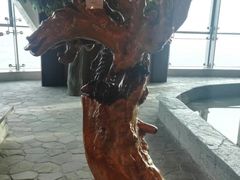 -华西龙希大酒店旅游观光区