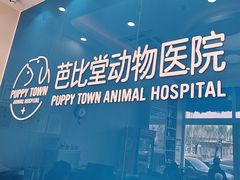 -芭比堂动物医院·CT·微创中心(新顺分院)