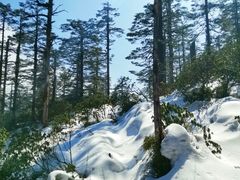 -瓦屋山景区