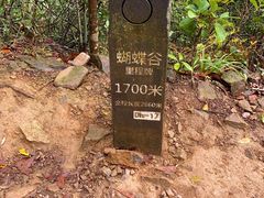 -梧桐山风景名胜区