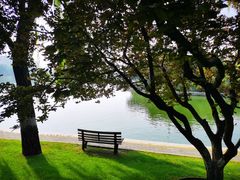 -大碗居·烤鸭·鱼头泡饼(天坛东门店)