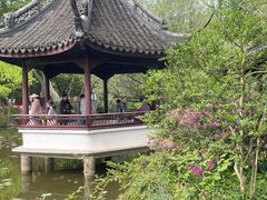-上海醉白池公园