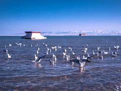 -青海湖国家重点风景名胜区