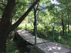 -龙门涧景区