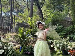 -沂蒙山旅游区云蒙景区(蒙山国家森林公园)