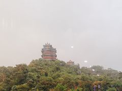 -七欣天香辣蟹火锅(南京建宁路大观天地店)