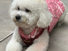 -美联众合动物医院·24h转诊中心
