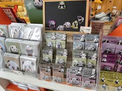 -熊猫邮局(少城店)