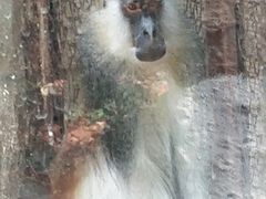 -昆明动物园