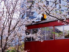 -新天地活力PARK