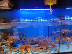 -阿伟海鲜楼·福建菜(延寿店)