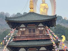-庐山风景名胜区-东林大佛