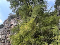 -大慈岩风景区