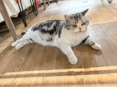 -小时光咖啡馆(开森度假森林店)