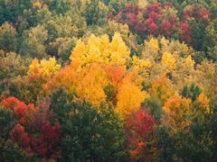 -塞罕坝国家级自然保护区