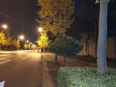 -上海夏阳湖皇冠假日酒店-停车场