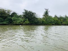 -东寨港红树林旅游区