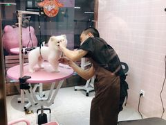 -FAELING PETS美天灵宠物(富力广场店)