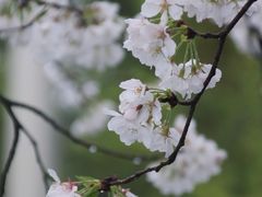 -钱塘江大桥