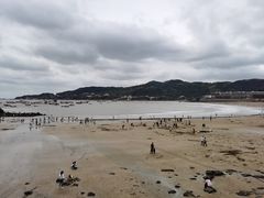 -渔寮风景区