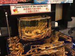 大堂-蟹道乐(道顿堀本店)