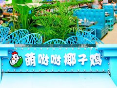 -亚龙湾热带天堂森林公园