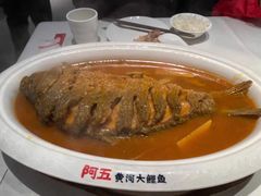 红烧黄河鲤鱼-阿五黄河大鲤鱼(英协路店)