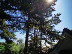 -香山公园